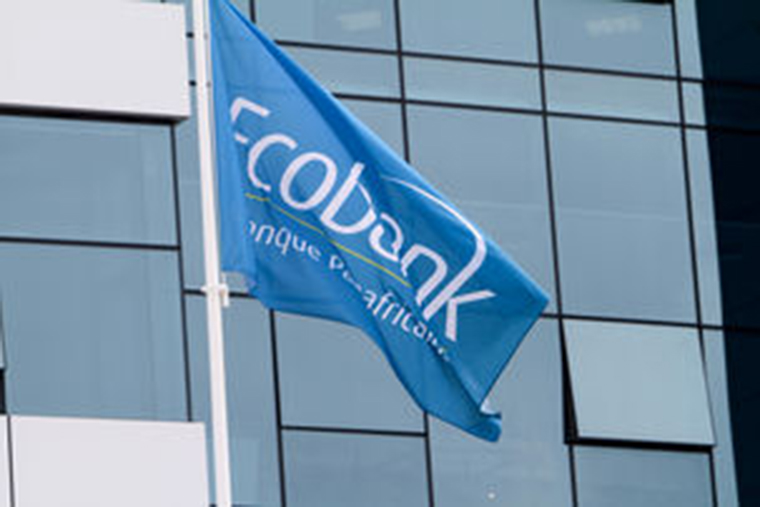 Ecobank receives US$100mn investment