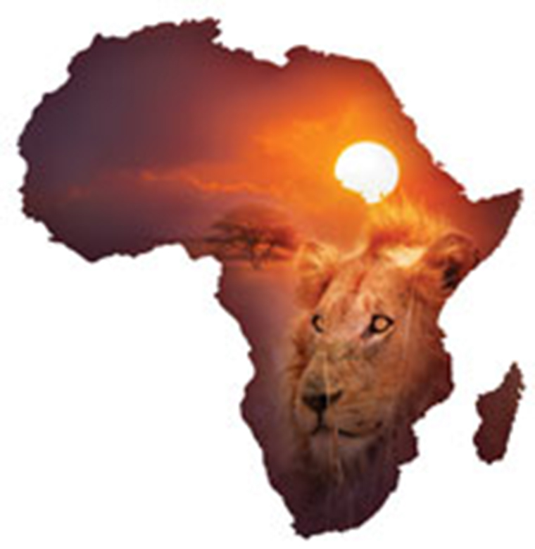Foreign investment into Africa doubles 
