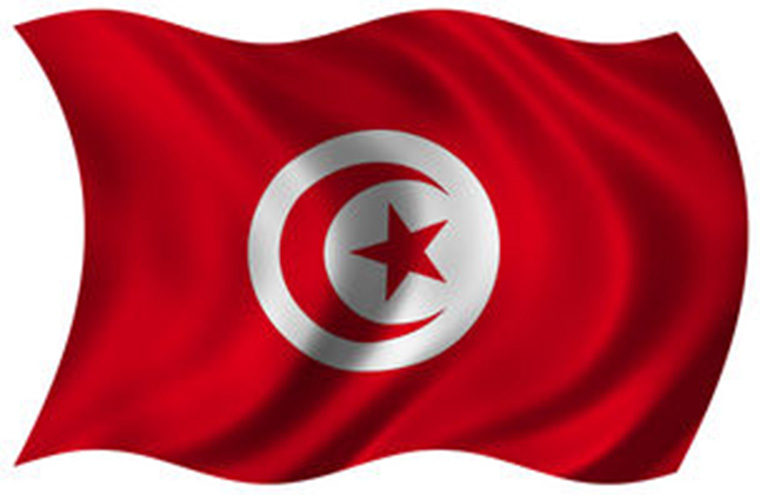 Tunisia issues US-backed bond