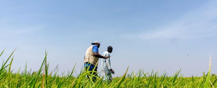 Afex launches US$100mn food security fund